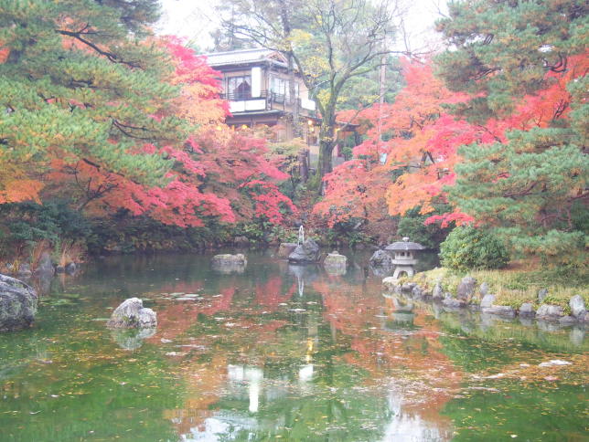 円山公園紅葉画像