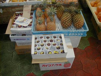 沖縄県特産の果物も豊富です