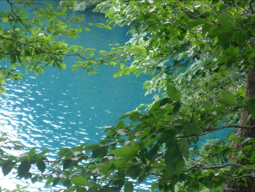 青木湖の湖水写真・青く澄んでいます
