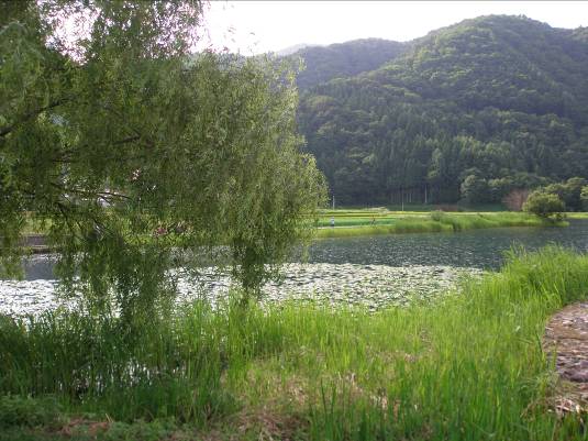中綱湖写真・小さな緑に囲まれた湖です