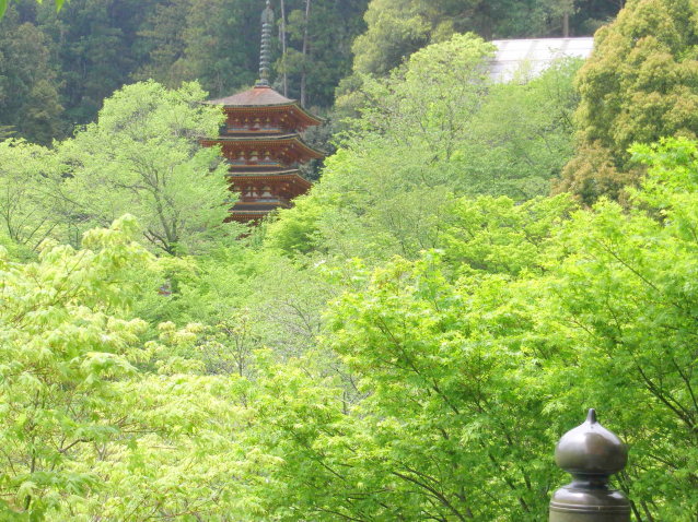 奈良長谷寺五重塔写真
