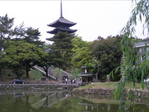 猿沢池から望む興福寺五重塔写真