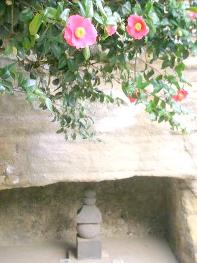 五輪塔とツバキの花　画像