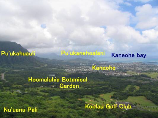 Nu’uanu Paliから見たKaneohe方面地名入り写真