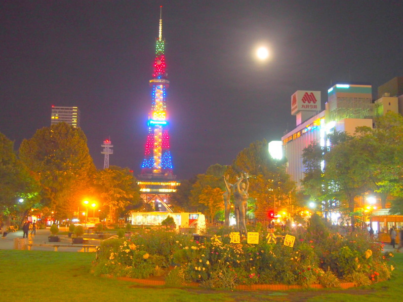 札幌大通公園夜景画像