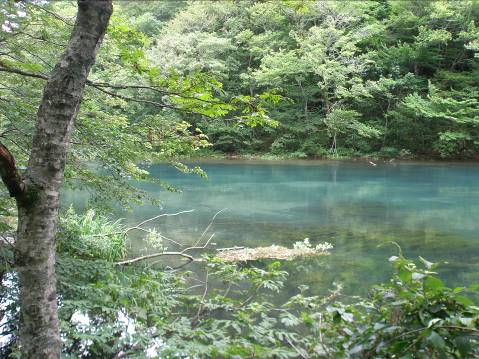 十和田湖から流れ出る水写真・青緑色です