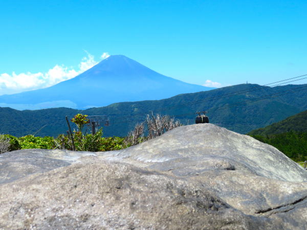 ��O�J���璭�߂�x�m�R�摜