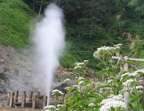地獄谷の噴泉とヨツバヒヨドリ写真