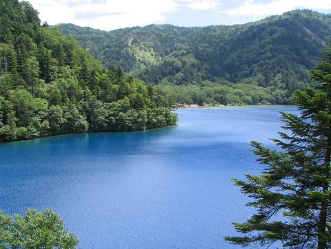 神秘的な青さの志賀高原大沼池写真