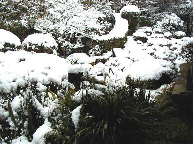 三千院庭園・聚碧園にも雪が積もる写真