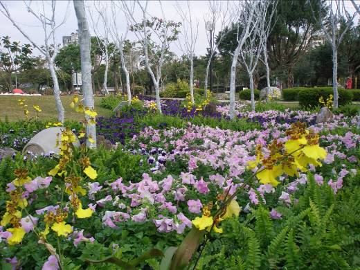 大安森林公園花博の花壇写真