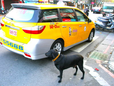 台北タクシー画像