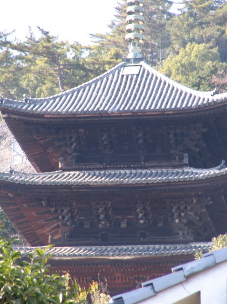 天寧寺三重塔画像