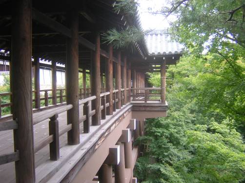 青カエデの時期の東福寺通天橋写真