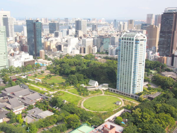 東京タワーから眺める芝公園画像
