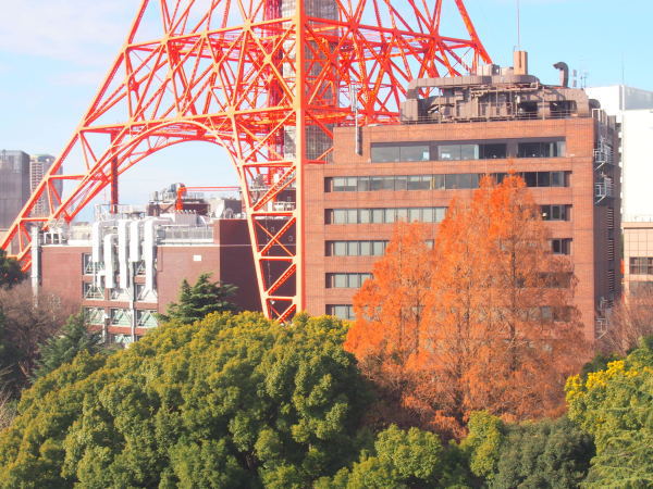東京タワー塔脚画像