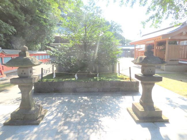 富岡八幡宮画像