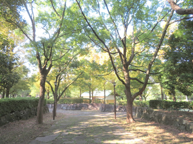 富岡公園画像