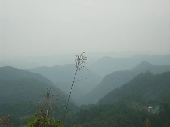 弥高山山頂から見る、霞む中国山地とススキの穂写真