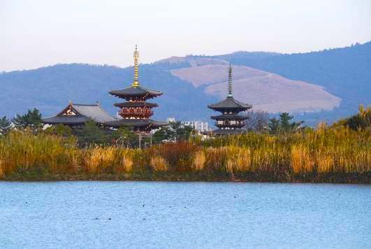大池から望む西の京薬師寺写真