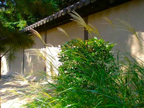 唐招提寺の土塀とススキ写真