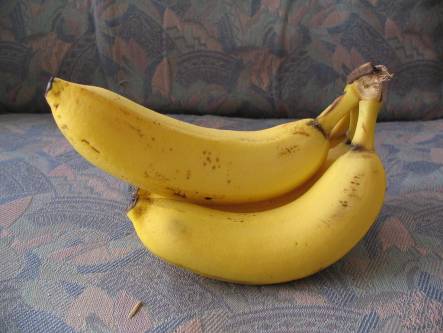 バナナも黄色いです写真