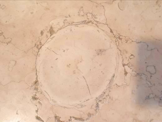 ヨコハマグランドインターコンチネンタルホテルの大理石に化石写真