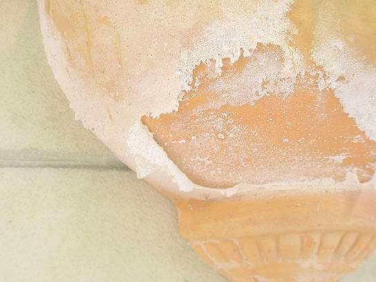 テラコッタの鉢から析出した塩分写真