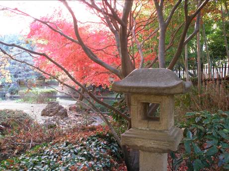 横浜公園日本庭園の石灯籠と紅葉写真