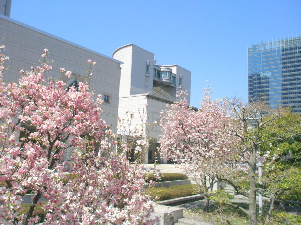 横浜美術館画像
