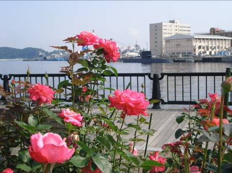 ヴェルニー公園から見た横須賀港の潜水艦と秋バラ写真