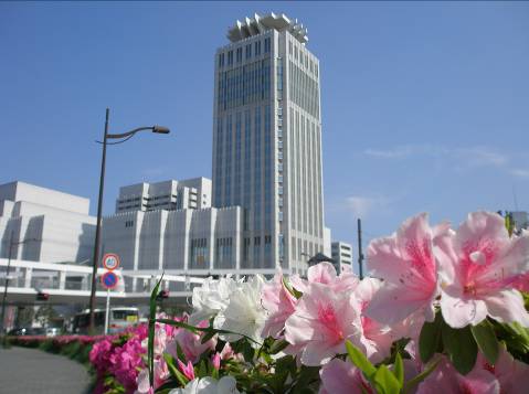 ベイスクエア横須賀・横須賀芸術劇場とツツジの花写真