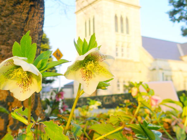 ���l�~�N���X�}�X���[�Y��