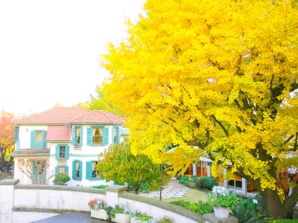 ���l�~�u���t18