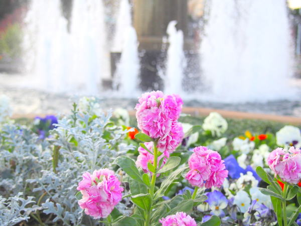 ���l�~�X�g�b�N��