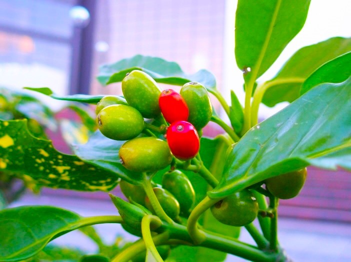 �A�I�L�����l�~