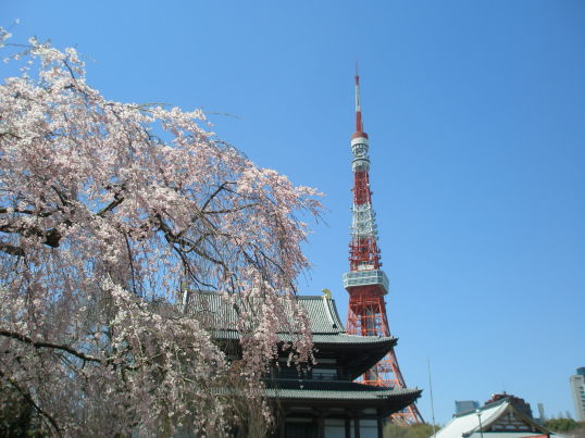 増上寺と東京タワー　写真