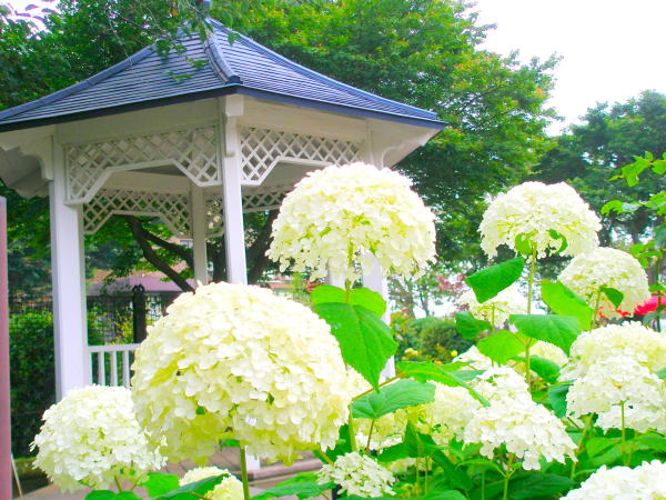 ���l�A�i�x����