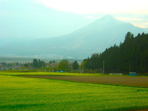 磐梯山と菜の花畑画像