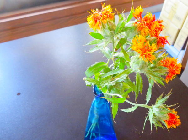 紅花資料館ベニバナ花