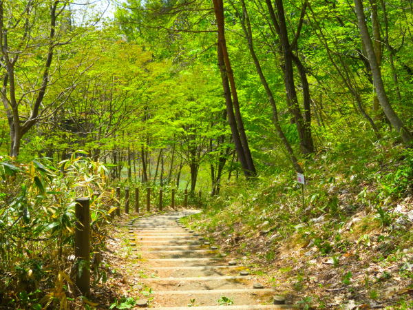 御所湖畔遊歩道