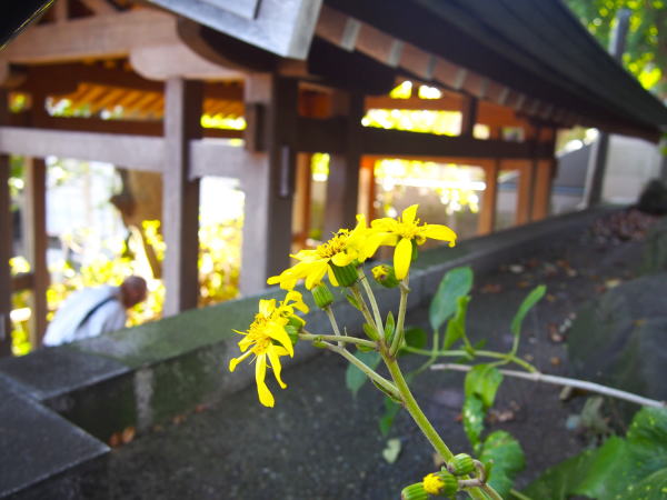 �O�����c���u�L��