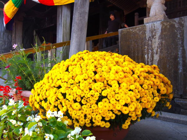 �O�����L�N��