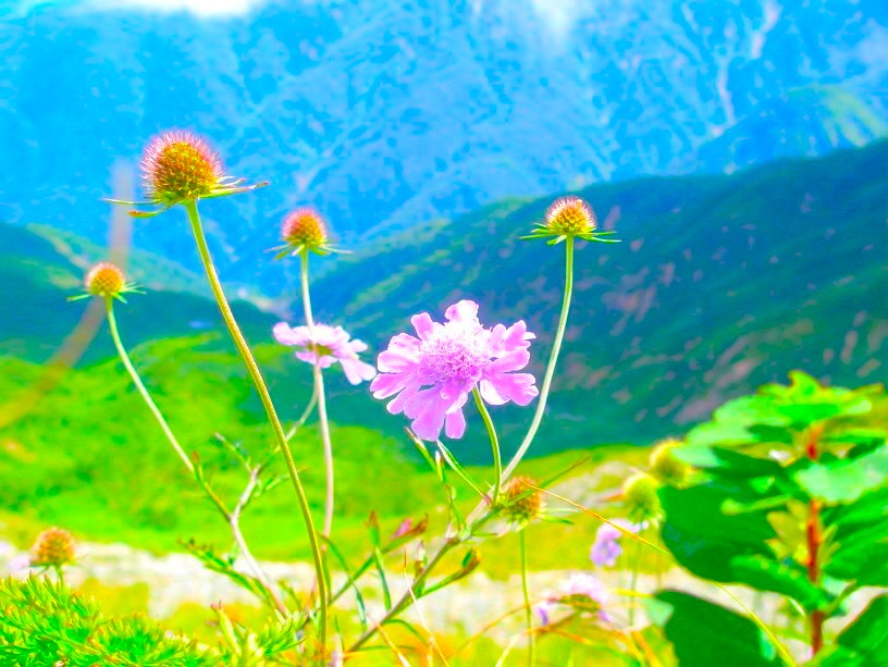 �}�c���V�\�E��