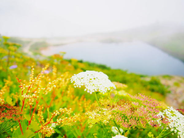 �����r�^�J�l�C�u�L�{�E�t�E