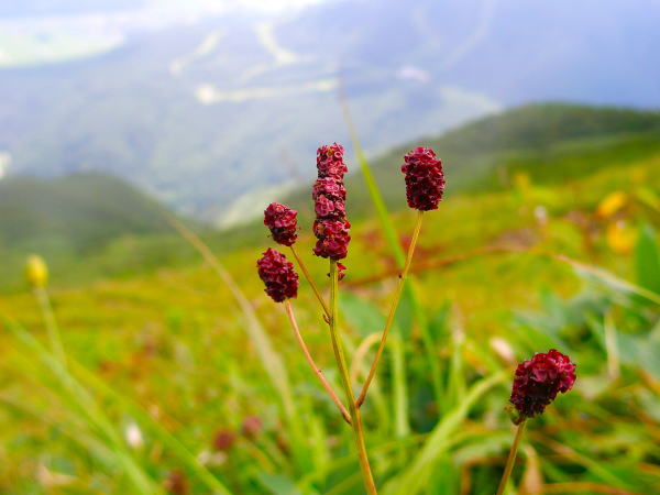 �����r�������R�E��