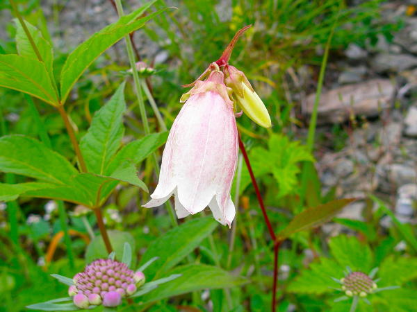 �����r���}�z�^���u�N��