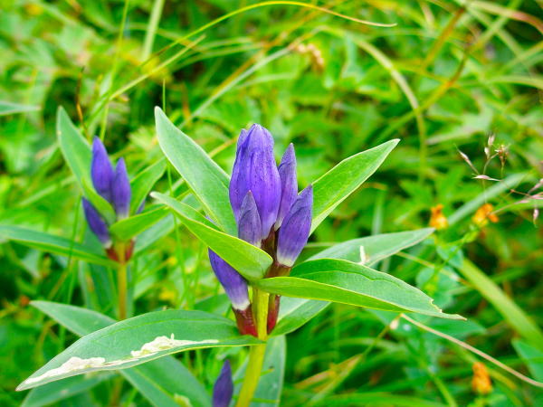 �����r�I���}�����h�E