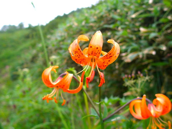 �����r�N���}������