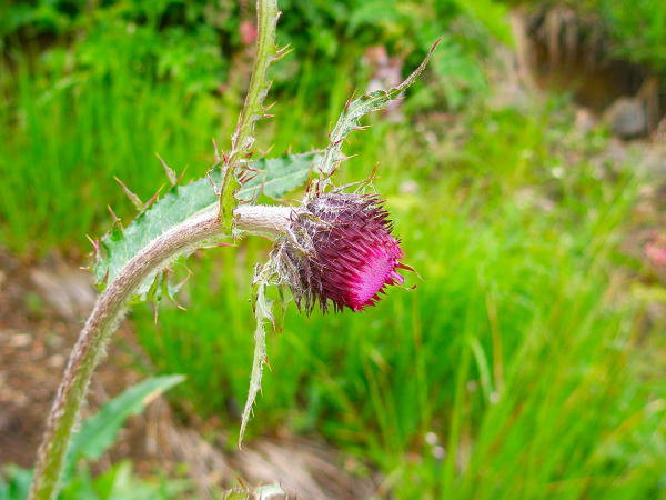 �����r�����A�U�~